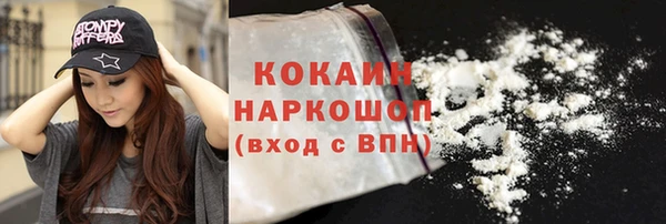 индика Баксан