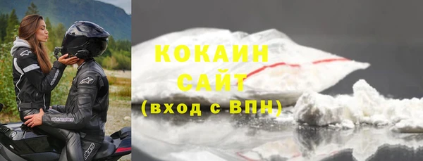 индика Баксан