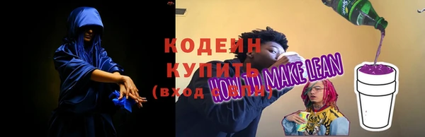 индика Баксан
